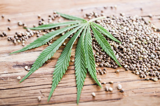 Marijuana seeds from Amsterdam