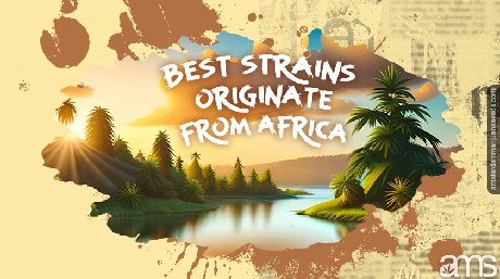 Strains that originate Africa